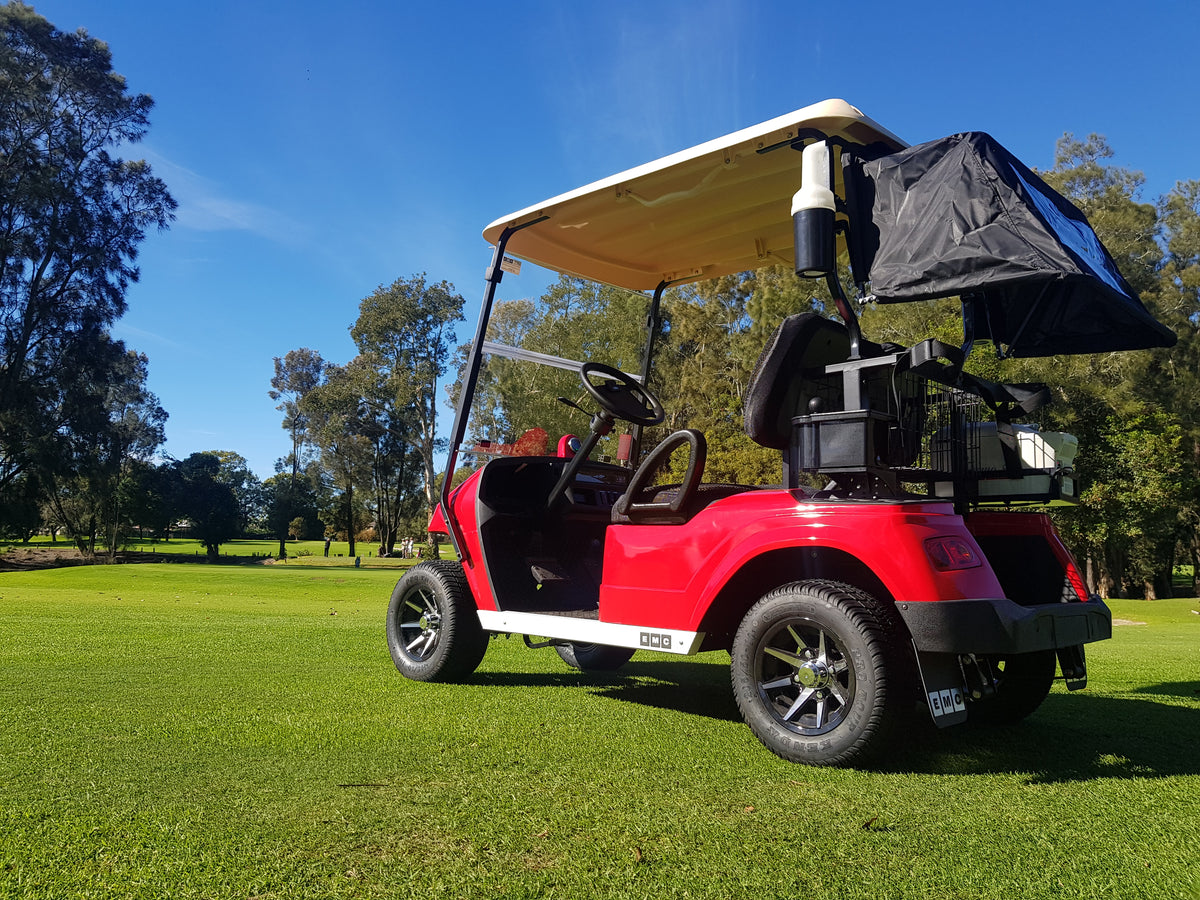 2020 Express Electric Golf Cart 2 Seat