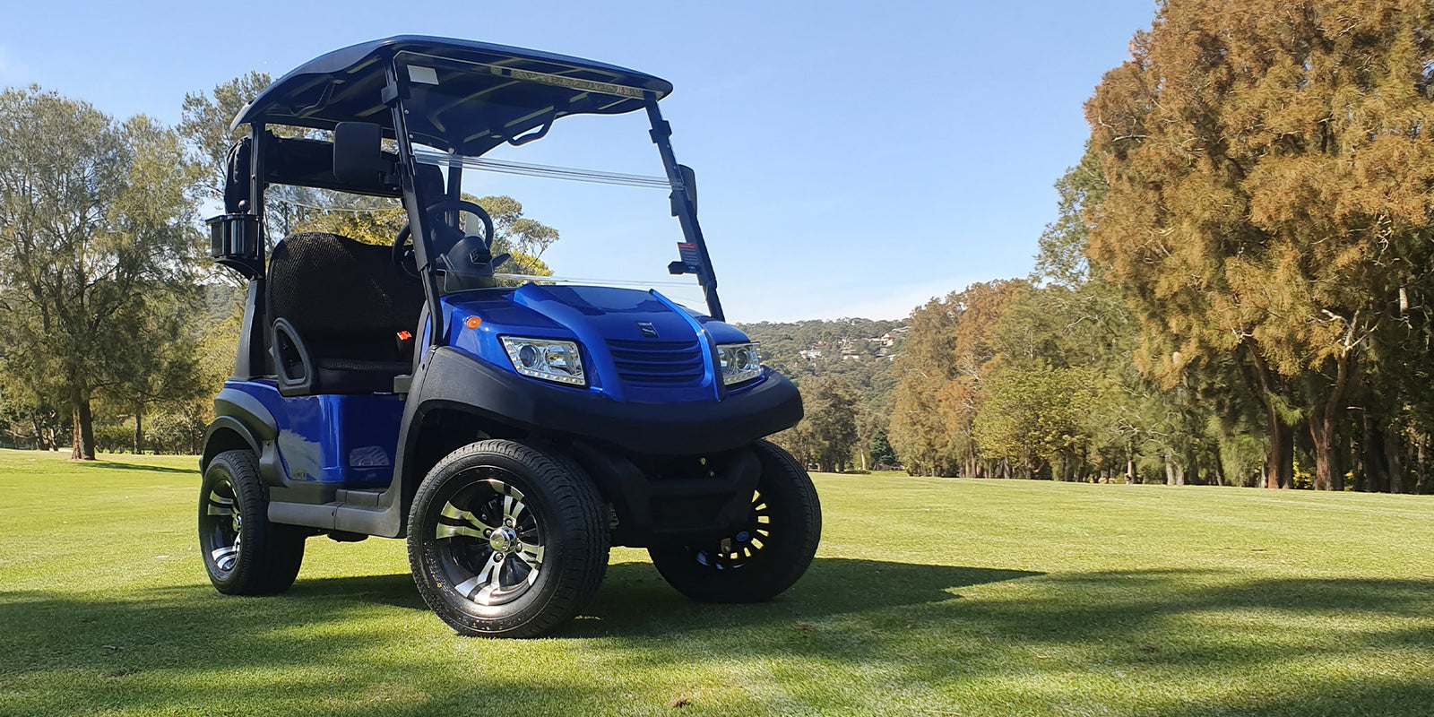 emc golf cart